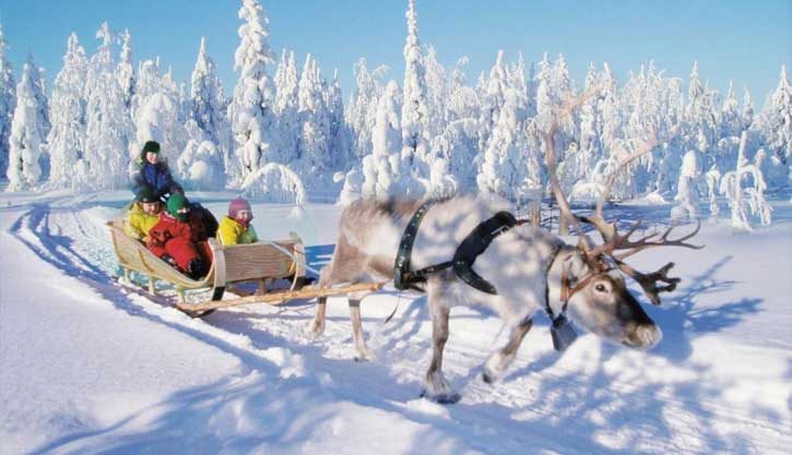 Carisa Travel - Explore Finnish Magnificence with Carisa Travel