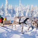 Rovaniemi 7 Days 6 Nights Holiday Package