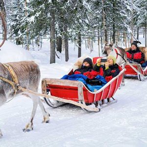 Rovaniemi Reindeer Safari